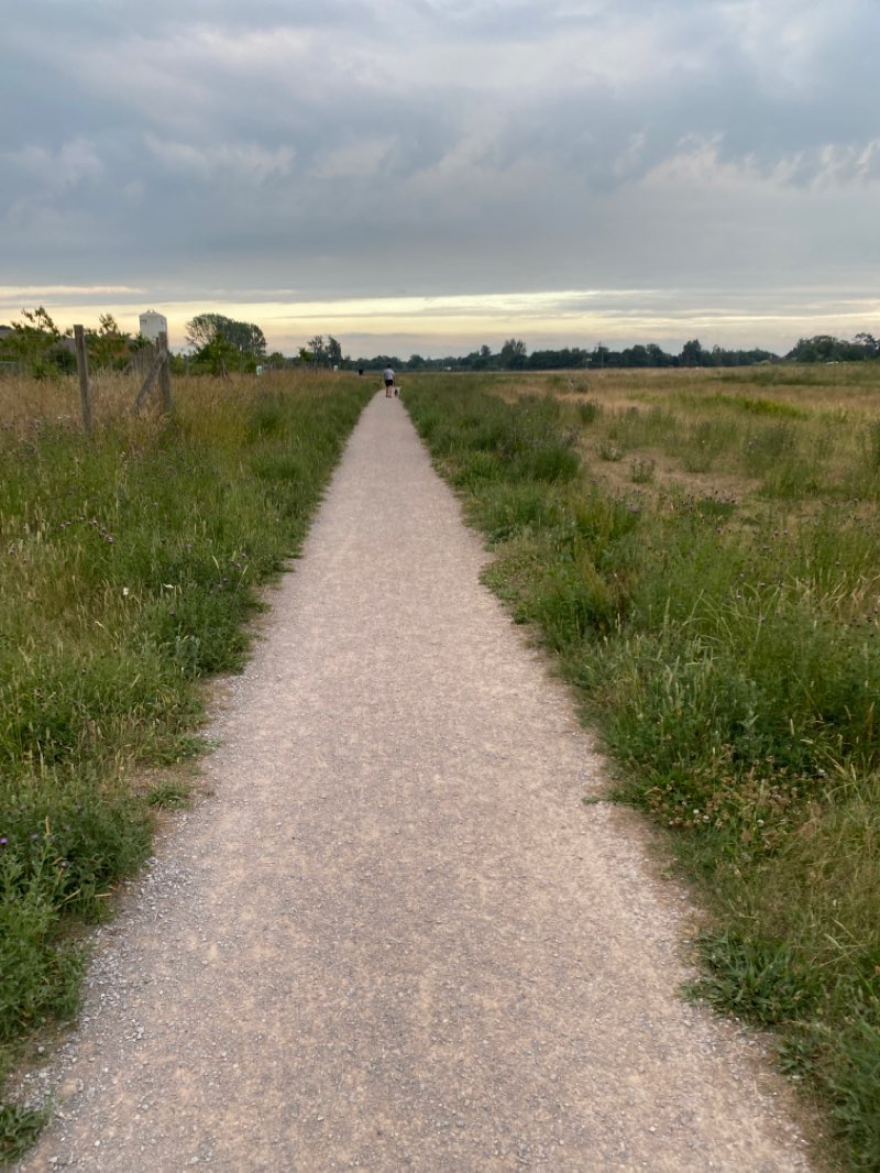 walking near me in Deardon Field in winter