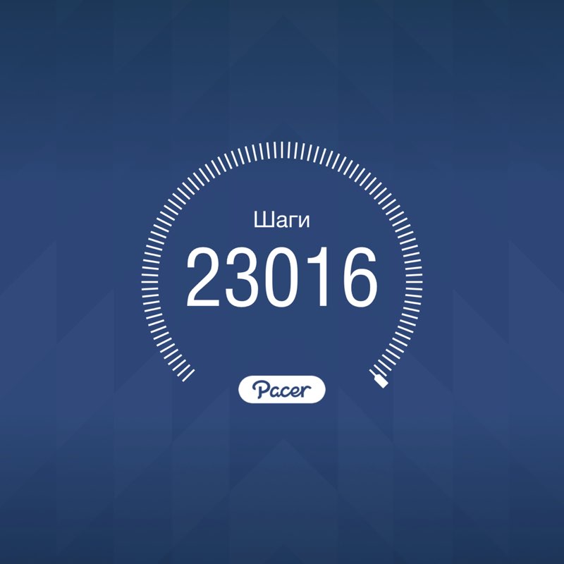 PacerТоварищ post 1