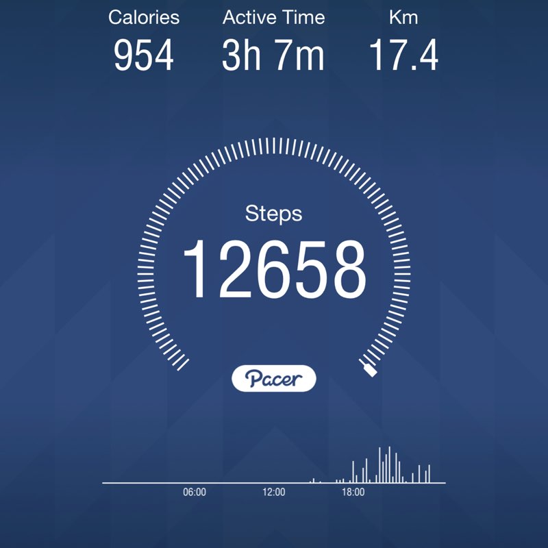 Dhanraj Singh post 1