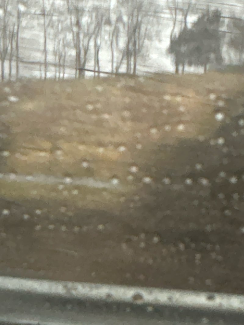walking near me in American Frontier Culture Museum in winter