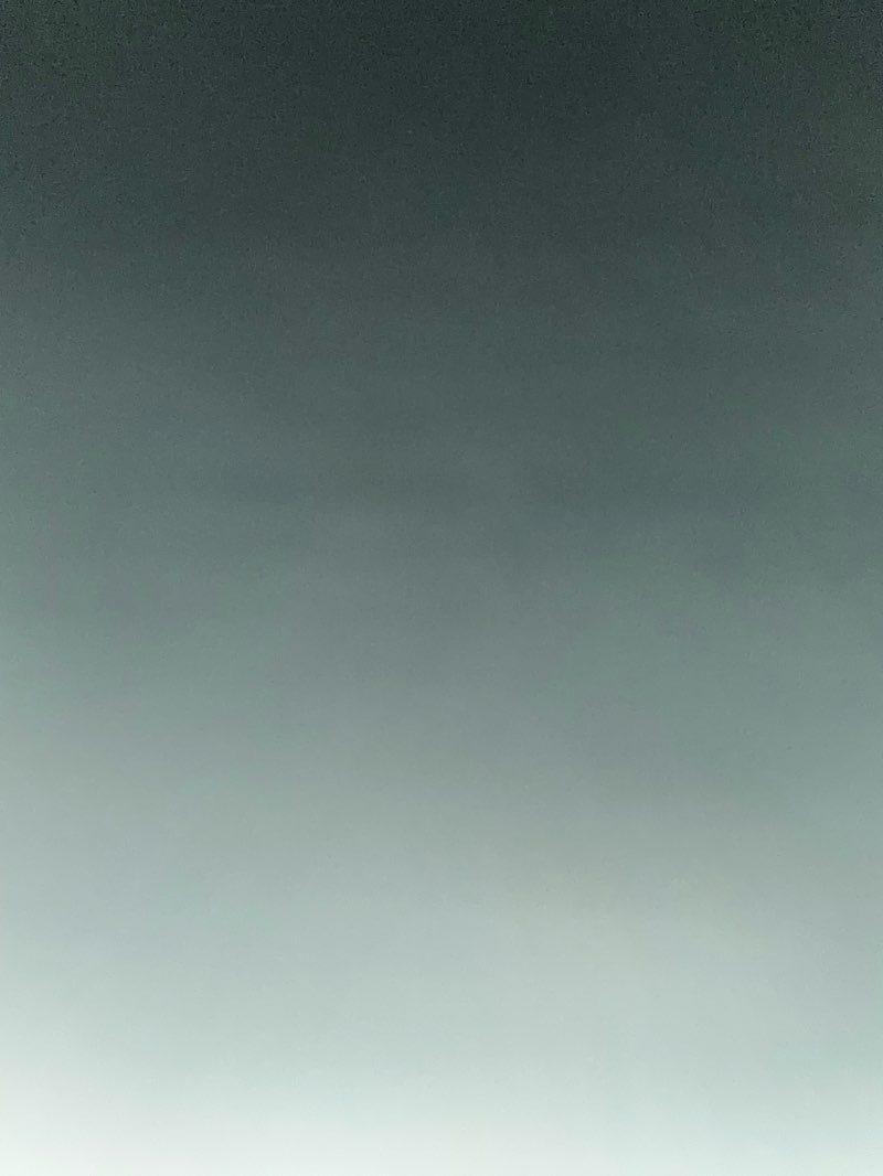 walking near me in Memorial Park in autumn