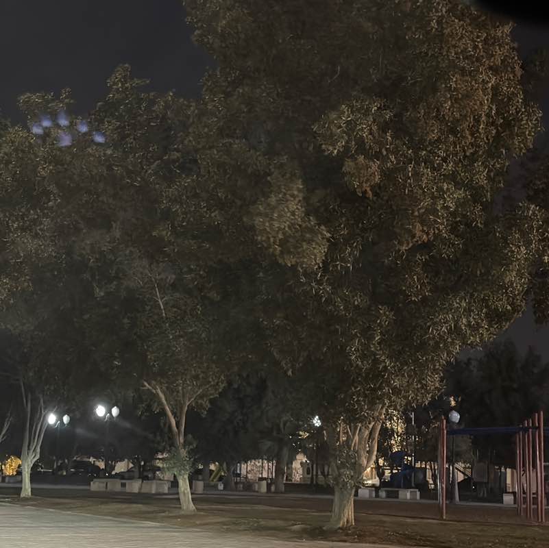 Amaal Al Thebiani 🇸🇦 post 3