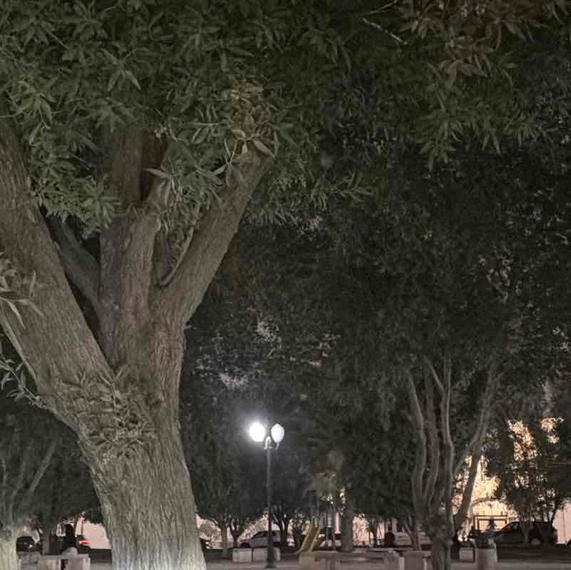 Amaal Al Thebiani 🇸🇦 post 2