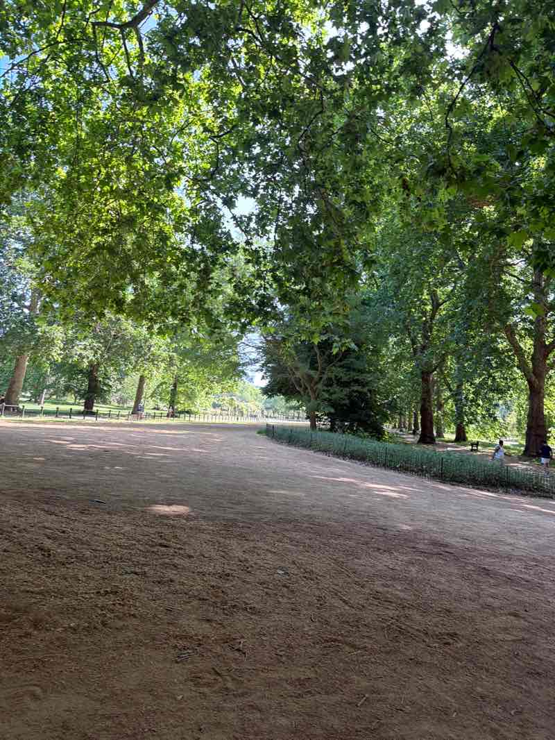 walking near me in Hyde Park in summer