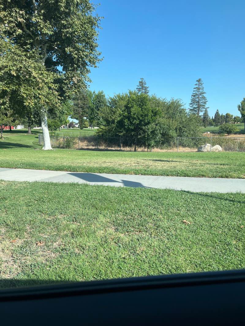 walking near me in Pin Oak Park in summer