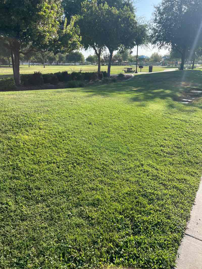walking near me in Greystone Park in summer