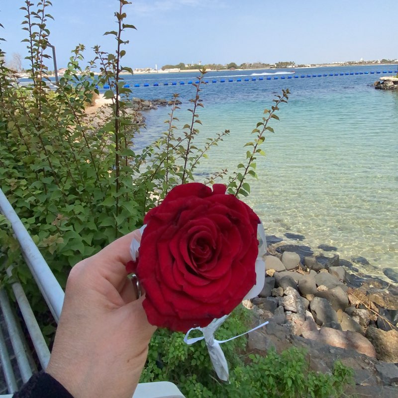 منيره غرم الله احمد الزهراني icon