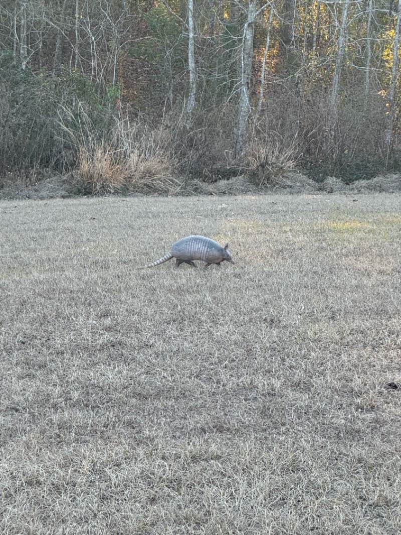 walking near me in Wesley Chapel District Park in winter