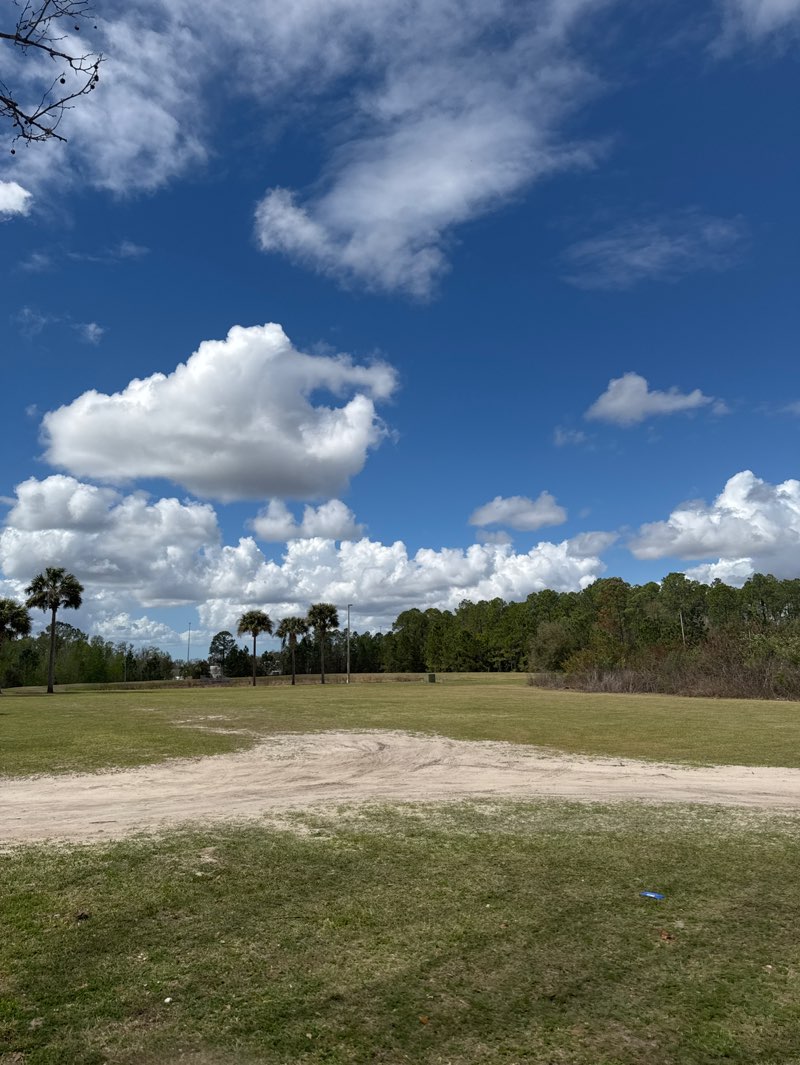 walking near me in Wesley Chapel District Park in spring
