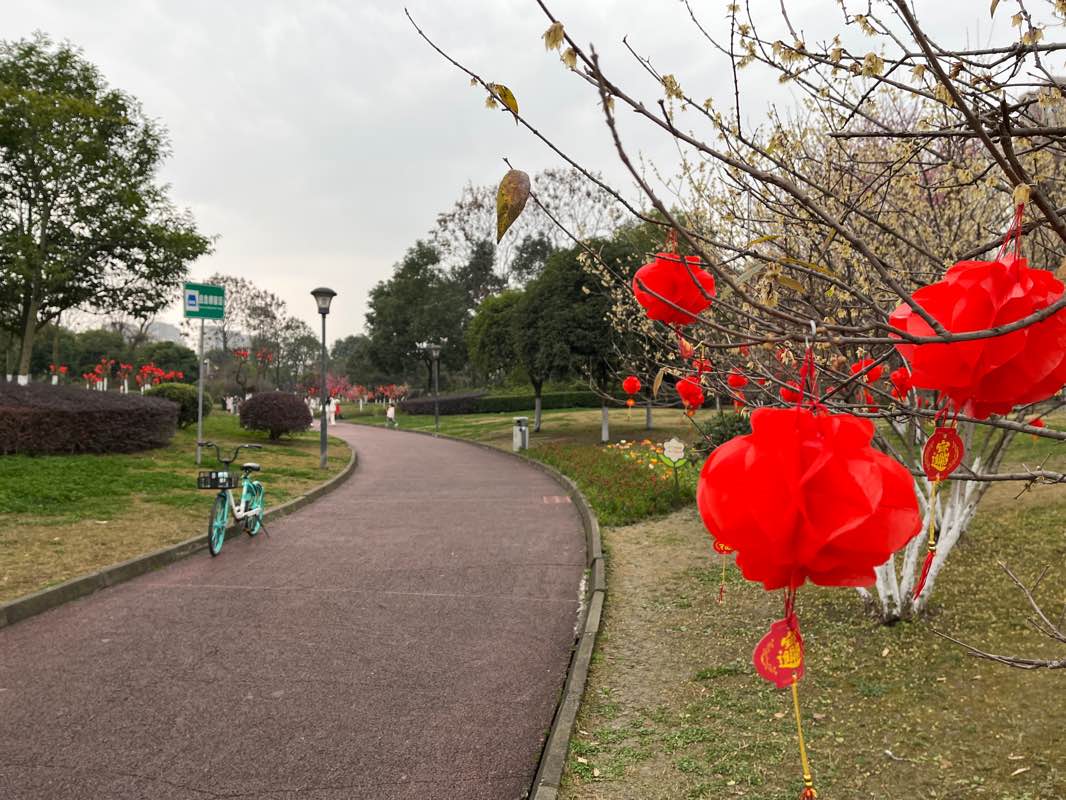 walking near me in 金沙滨河公园 in winter
