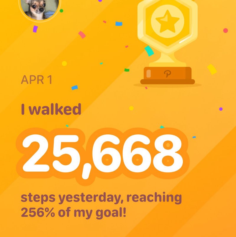 joao marcelino post 1