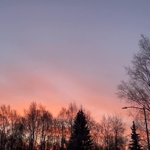 AliceCarolineFrankson post 2