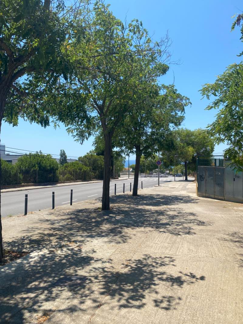 walking near me in Parc del Camí de la Serra in winter