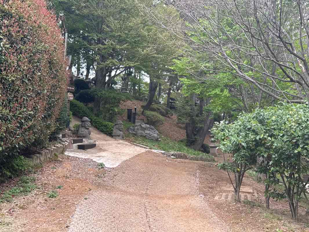 walking near me in 구덕 문화공원 in spring