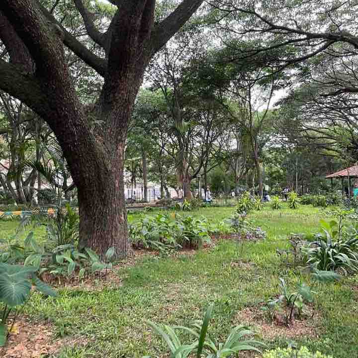 Anil 🚶🏽‍♂️🏍🏃🏽‍♂️ post 1