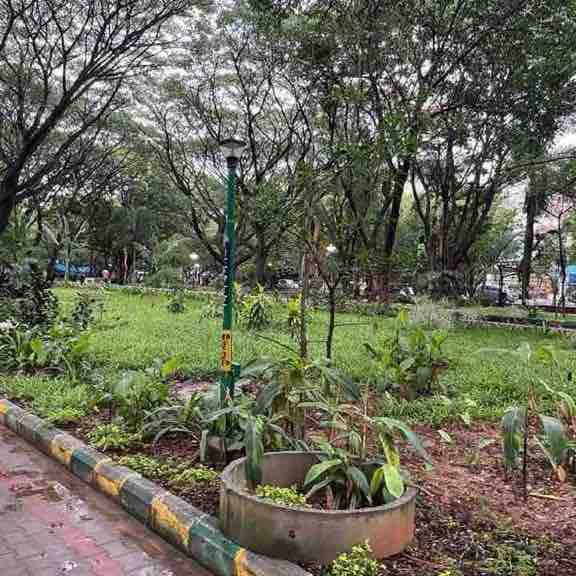 Anil 🚶🏽‍♂️🏍🏃🏽‍♂️ post 1