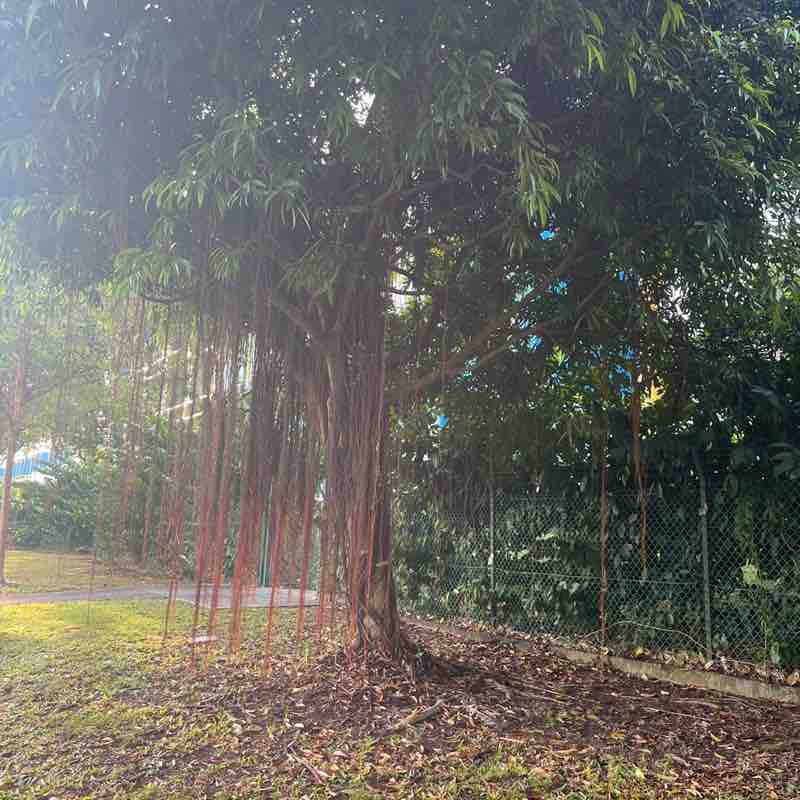 Sheny John ( Jeena) post 1