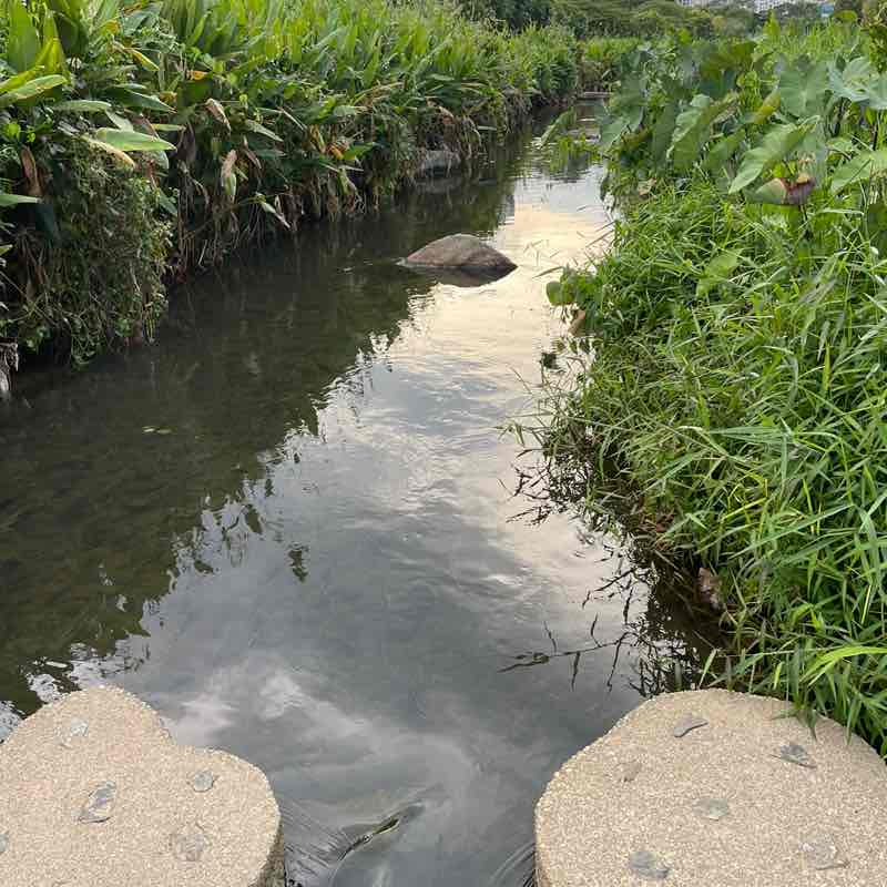 Sheny John ( Jeena) post 3