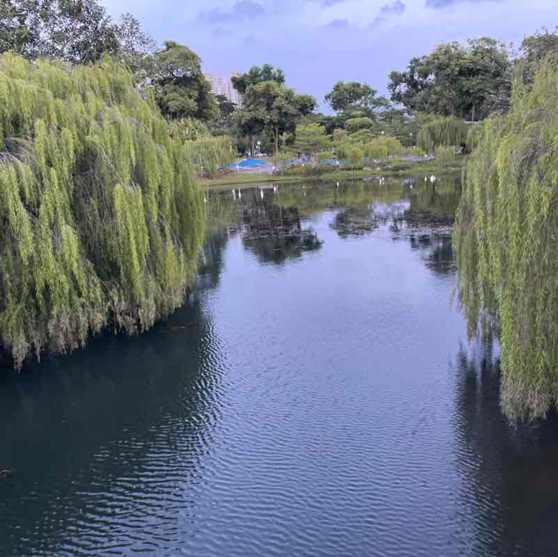 Sheny John ( Jeena) post 2