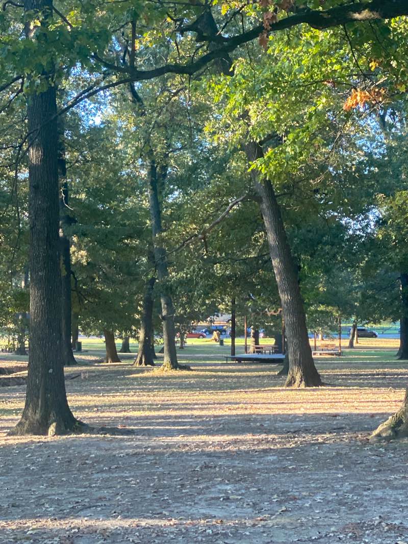 walking near me in Audubon Park in autumn