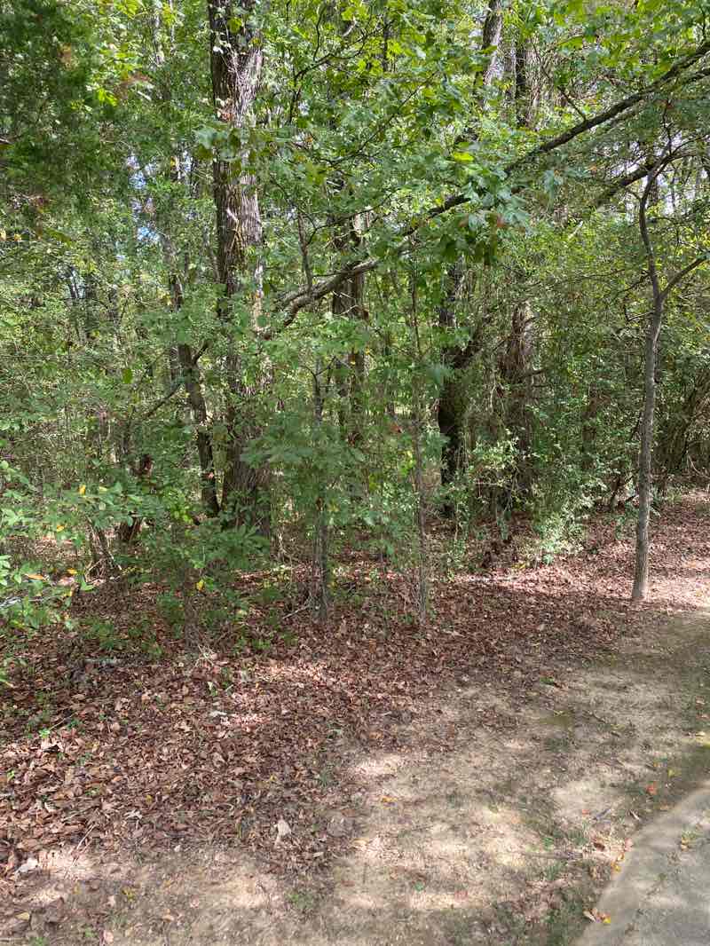 walking near me in Hinton Park in autumn