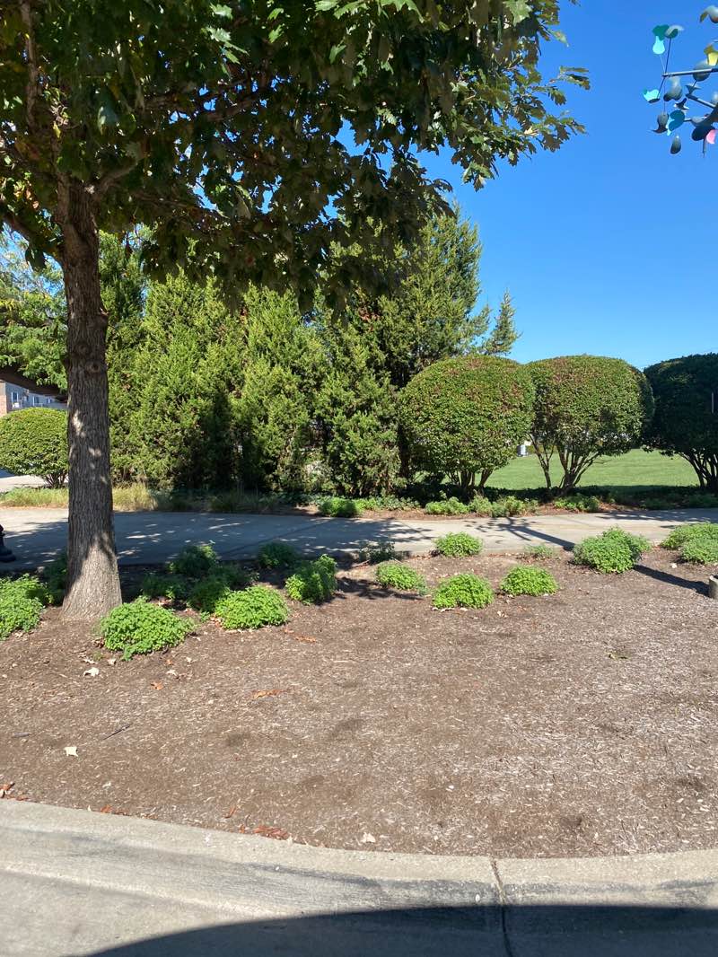 walking near me in Big Four Station in autumn