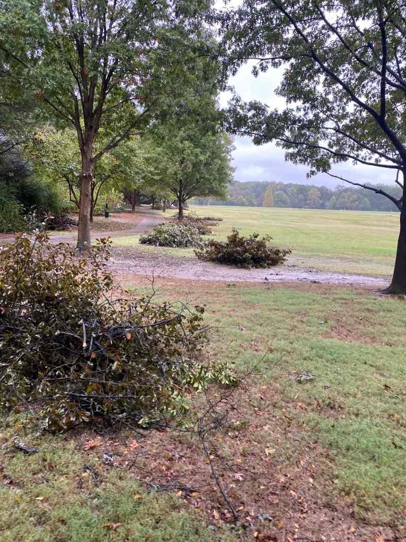 walking near me in Sea Isle Park in autumn