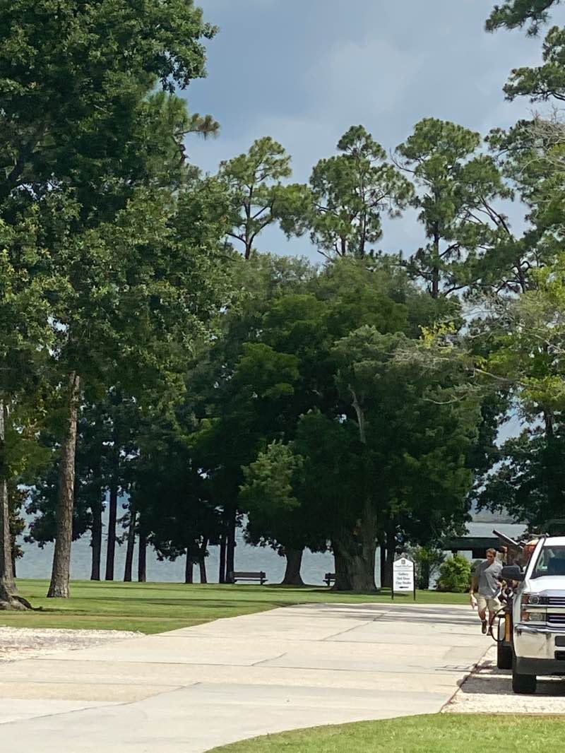 walking near me in WATERFRONT PARK in summer