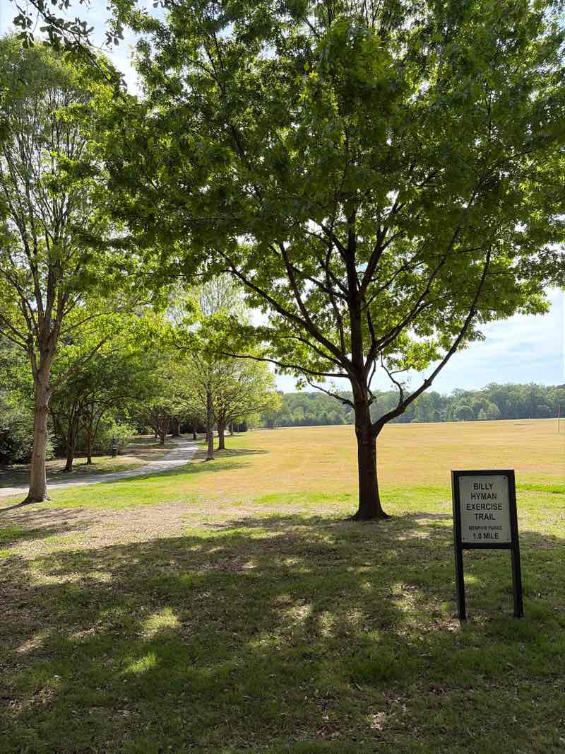 walking near me in Sea Isle Park in spring