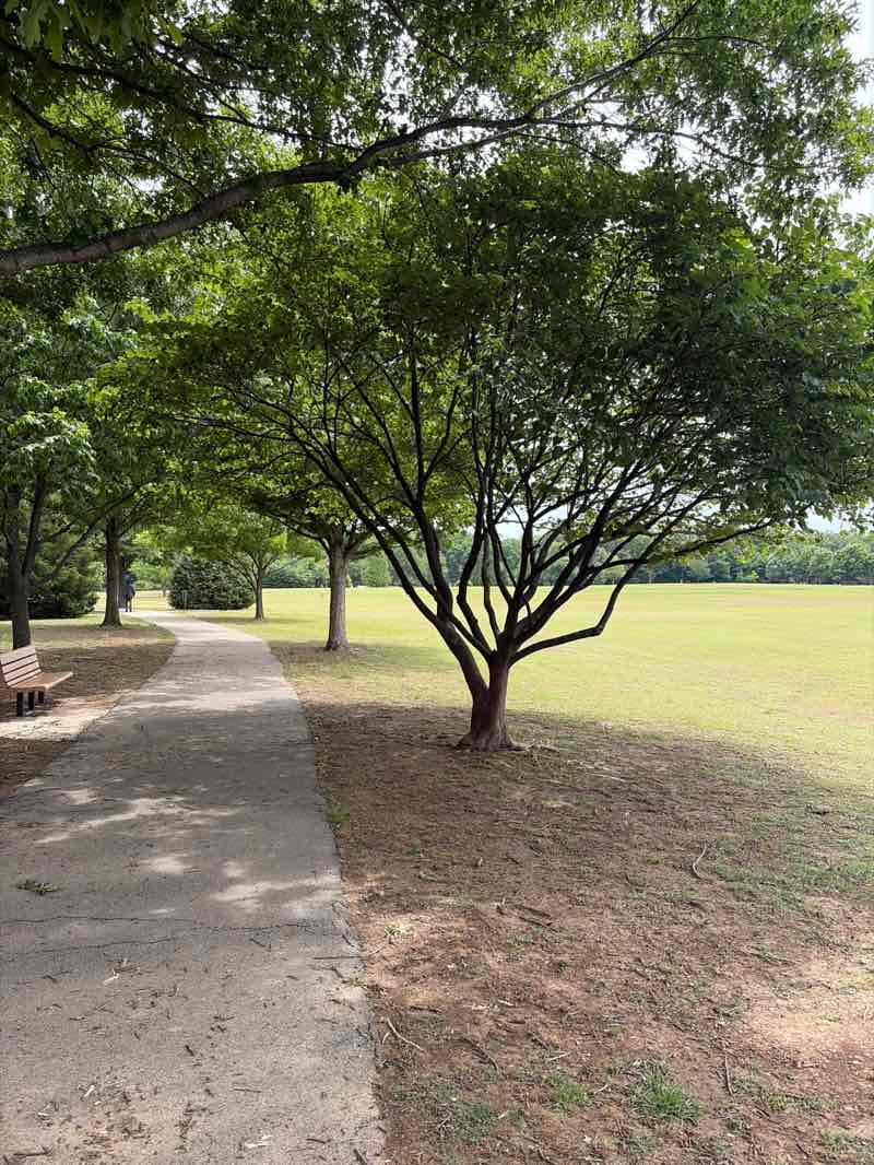 walking near me in Sea Isle Park in spring