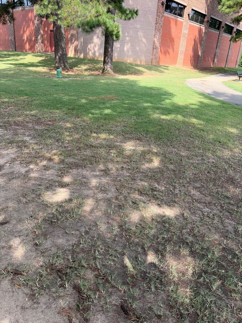 walking near me in H.W. Cox Park in summer