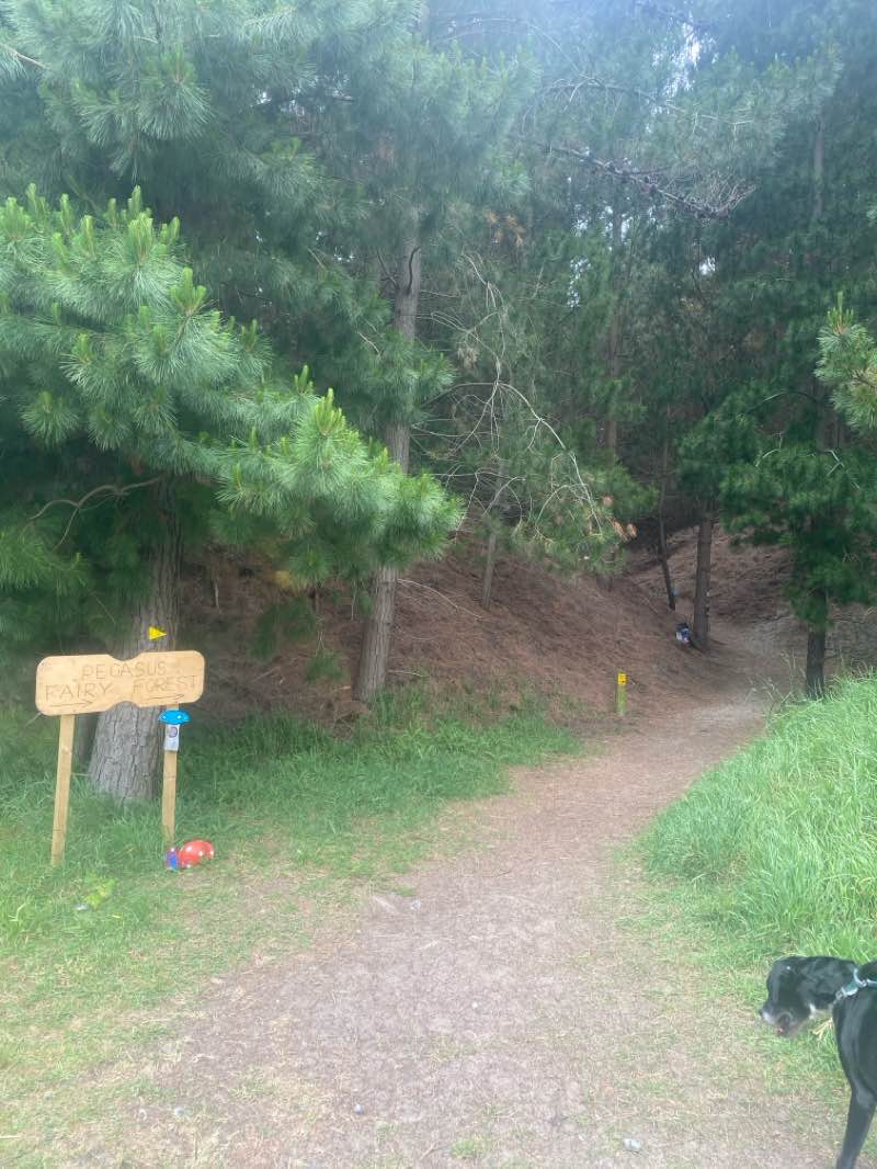 walking near me in South Oval in summer