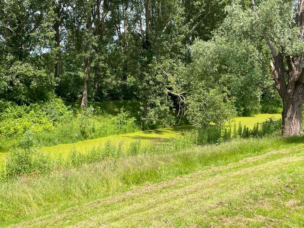 walking near me in Oosterpark in winter