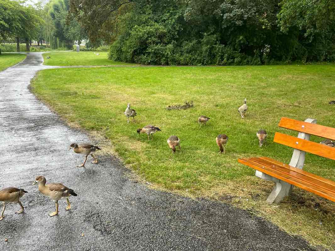walking near me in Hamburgerplantsoen in winter