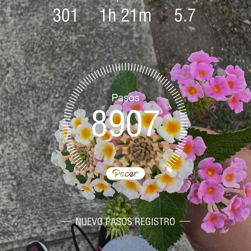 Walessa Meléndez post 1