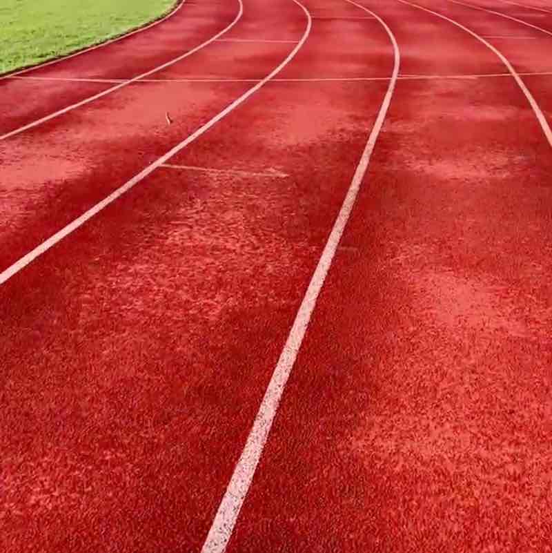 Walessa Meléndez post 1