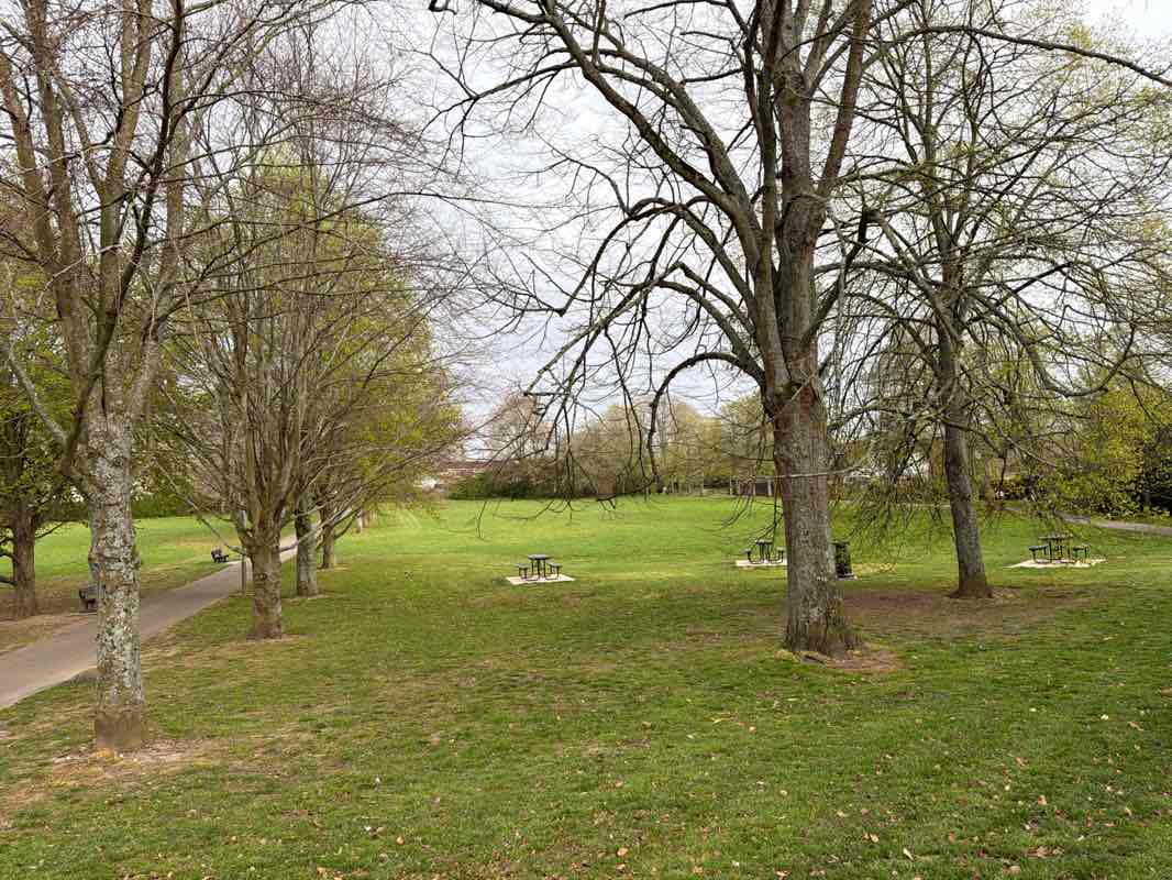 walking near me in Brighton Hill Park in spring