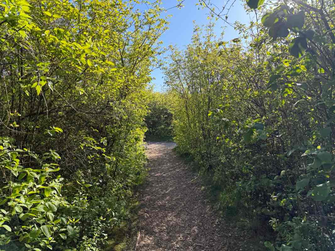 walking near me in Old Down Park in spring