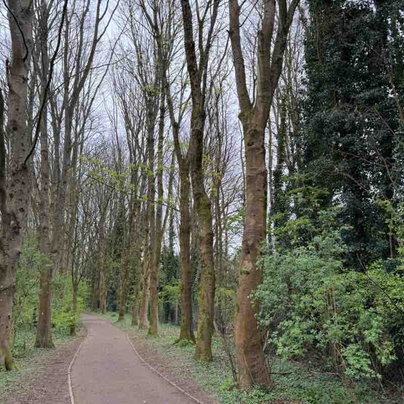 Jojo Blankson post 2