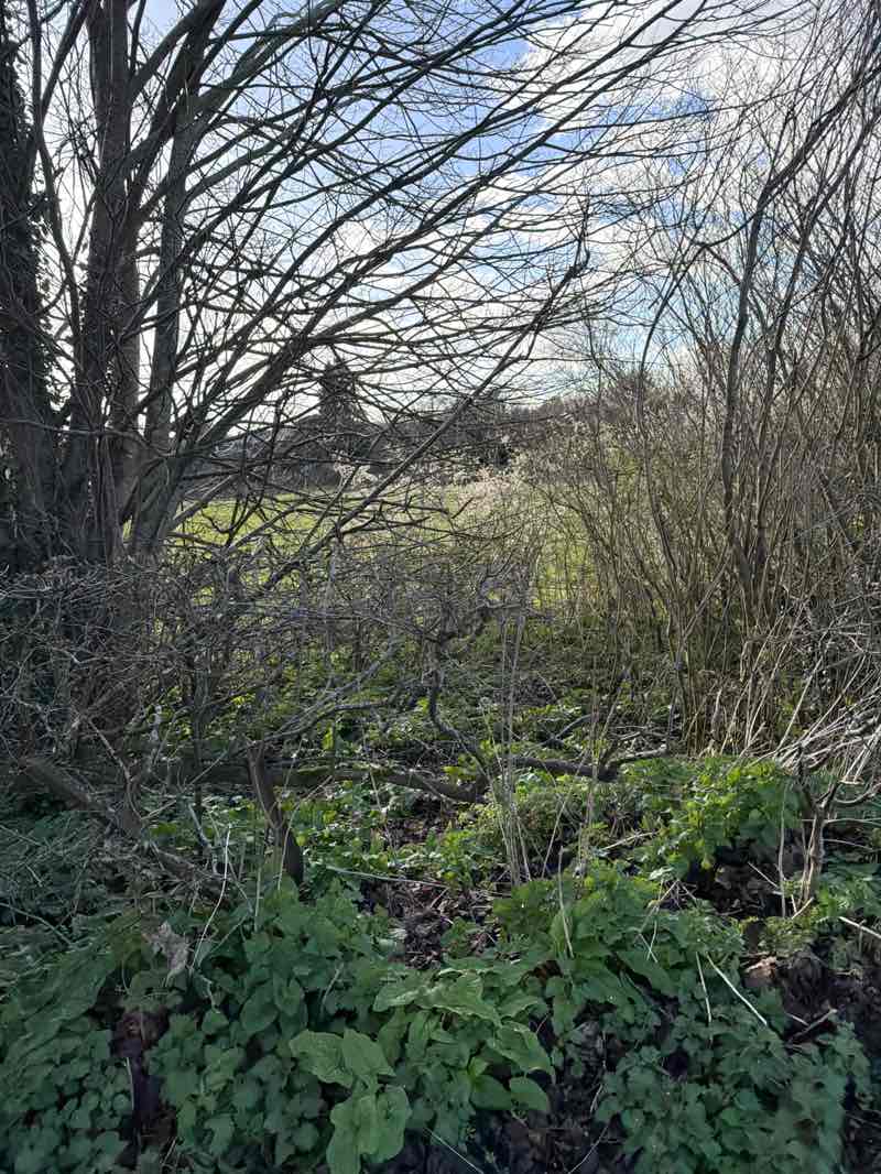 walking near me in Kempshott Village Hall green in spring