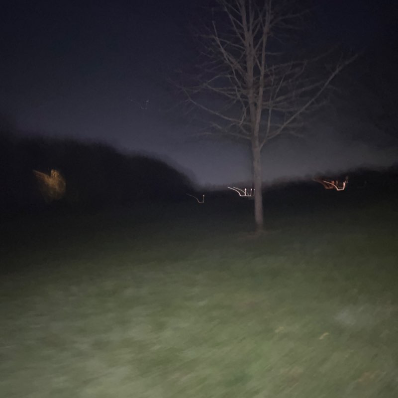 Jojo Blankson post 2