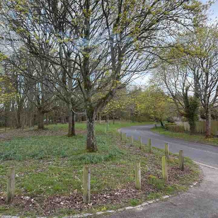 Jojo Blankson post 2