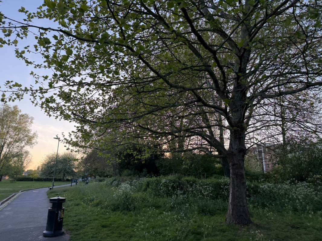 walking near me in Victory Park in spring