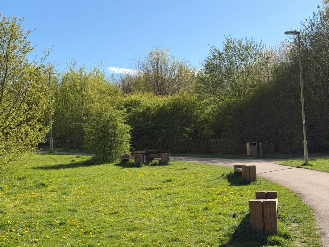 walking near me in Beggarwood Woodland Park in spring