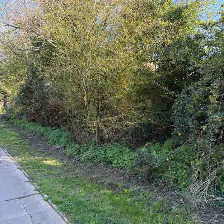 Jojo Blankson post 1