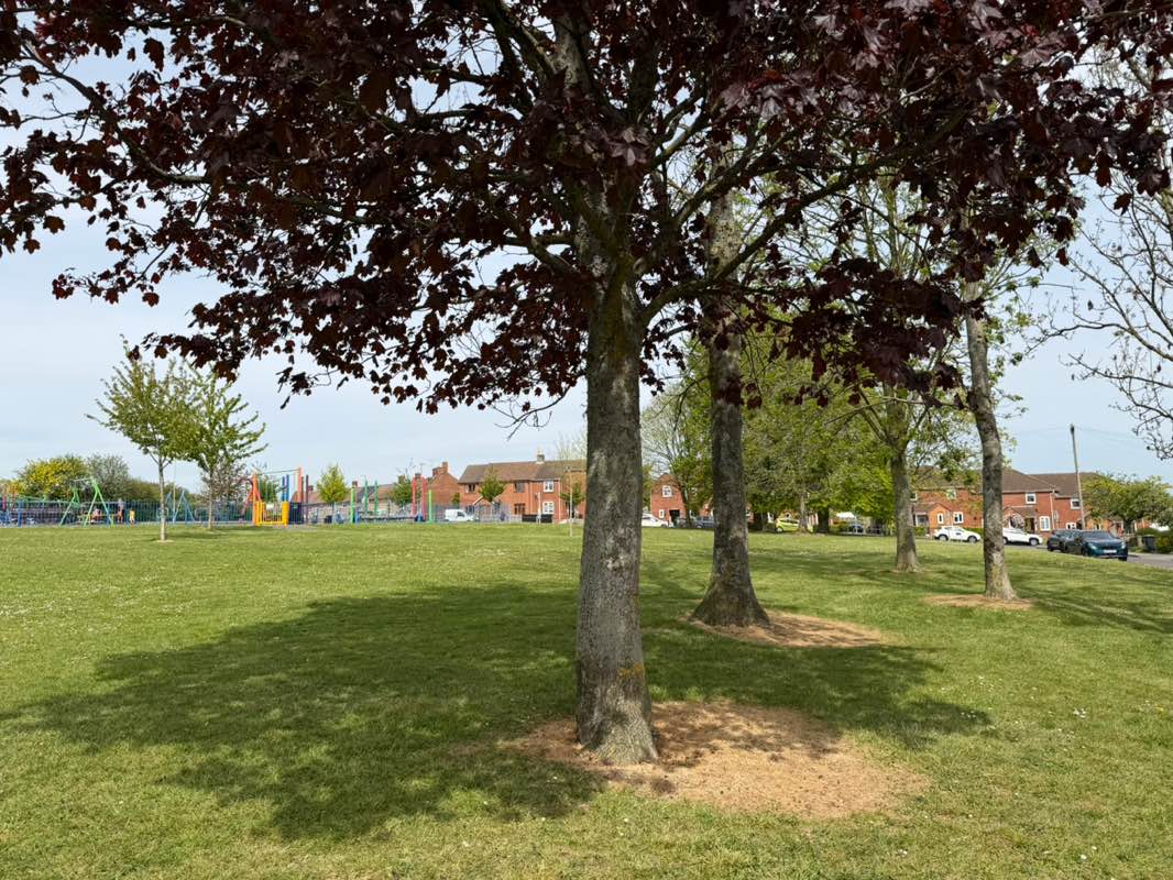 walking near me in Kings Road Open Space in spring