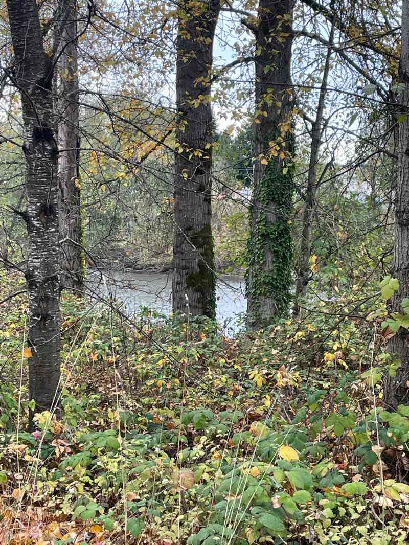 walking near me in Veterans Park in autumn