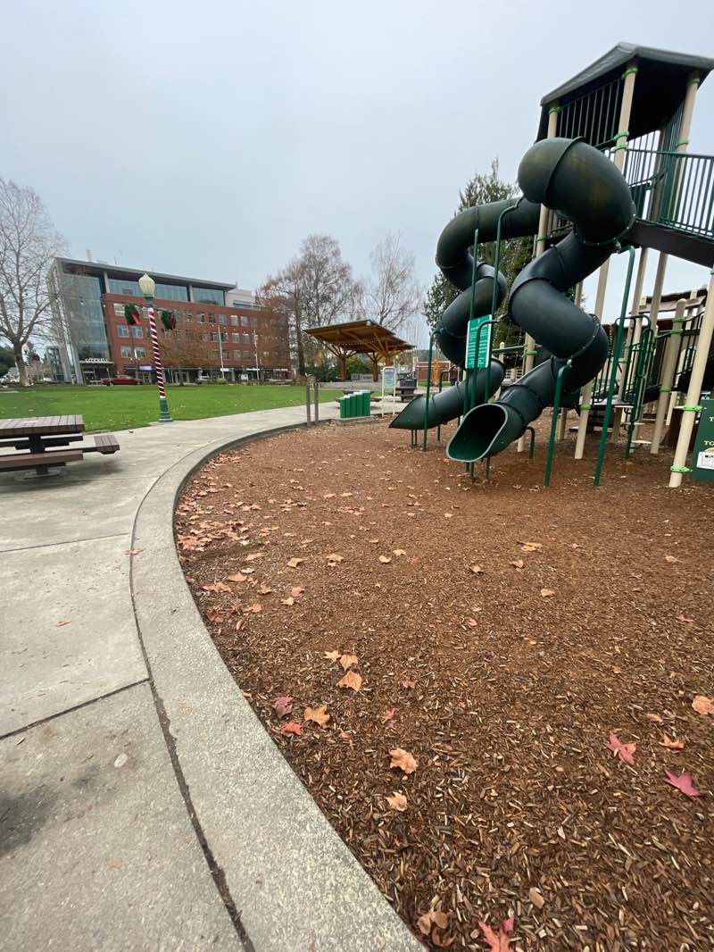 walking near me in Pioneer Park in winter