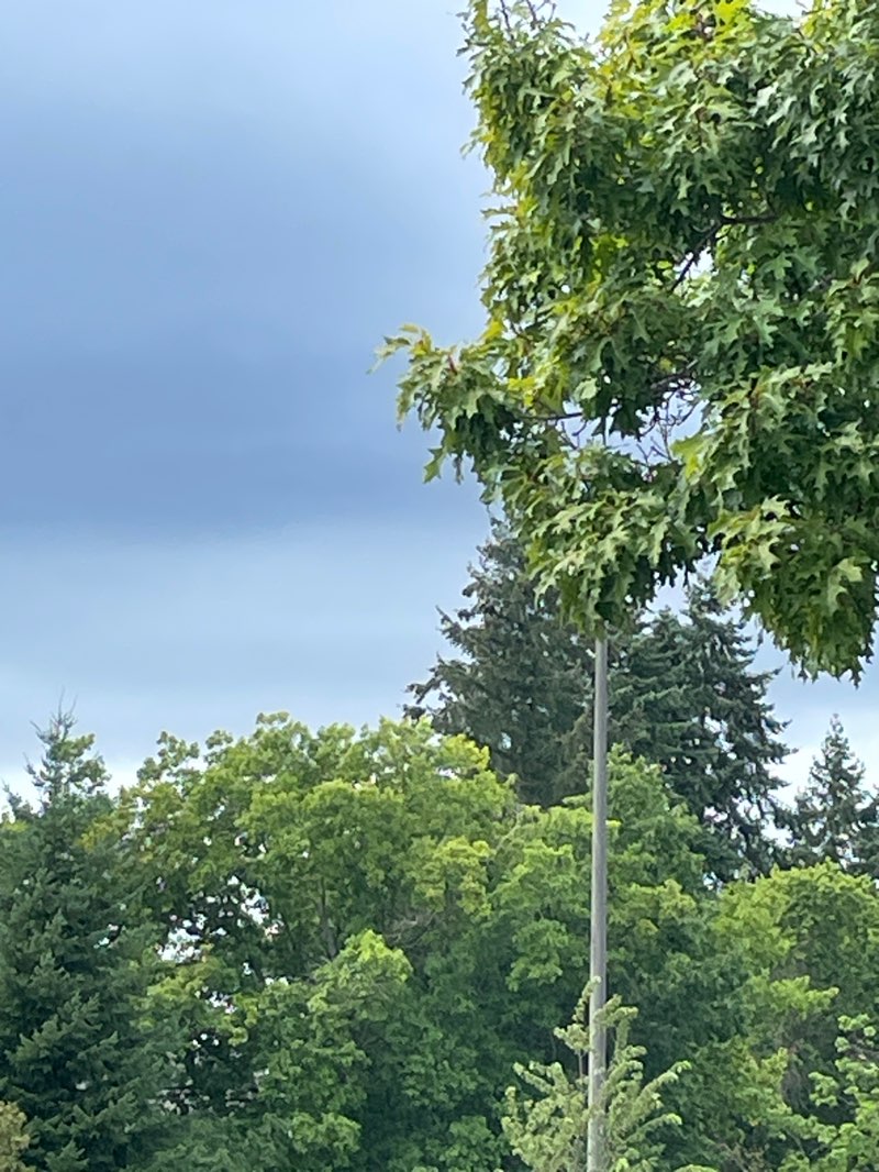 walking near me in War Memorial Park in autumn