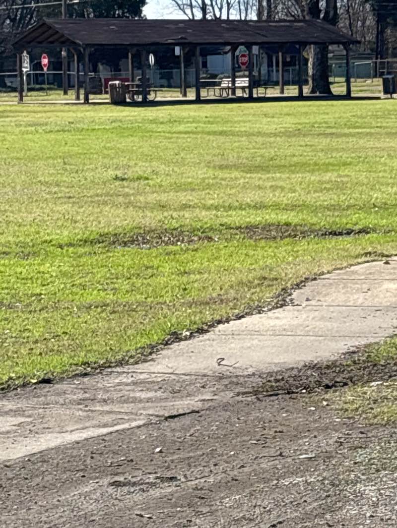 walking near me in Broad Street Park in winter
